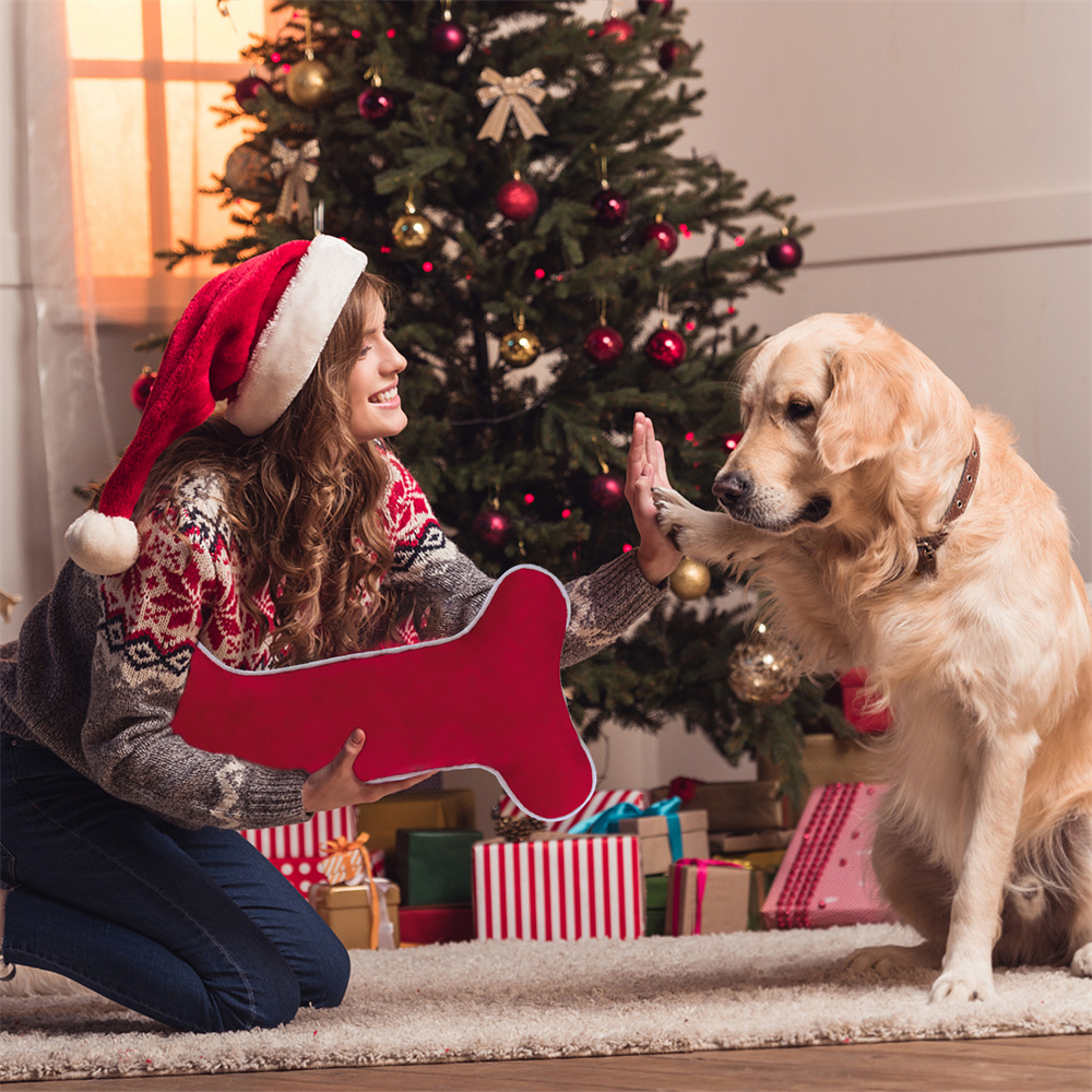Velvet Dog Christmas Stocking  - đánh giá và giá Luxury Xmas Bags